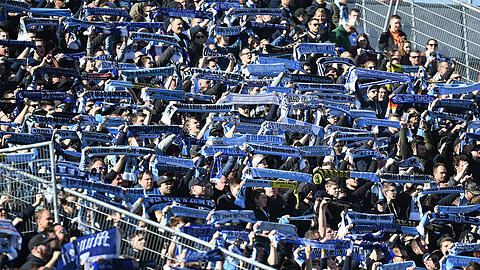 Sind gefragt beim TSV 1860: Die Fans der Löwen sollen bei einer großen Umfrage mitmachen.