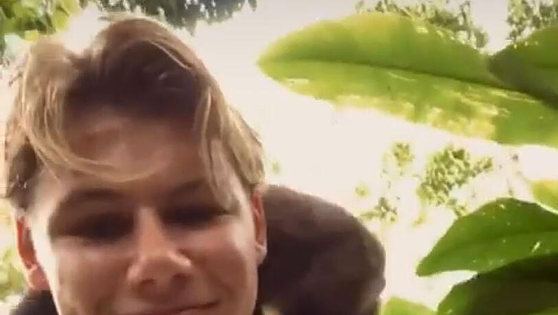 Ein Löwe und zwei Affen - Fynn Lakenmacher am Amazonas Ein Löwe und zwei Affen - Fynn Lakenmacher am Amazonas