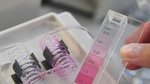 Bei der Landesanstalt für Umwelt, Messungen und Naturschutz Baden-Württemberg wird mit einem Durchflussphotometer der Nitratgehalt im Wasser über Nitrit bestimmt.