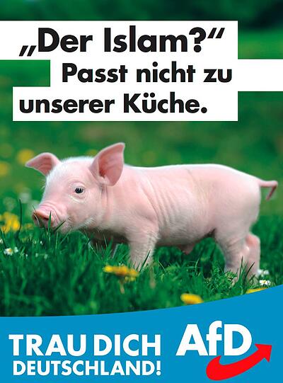Die Wahlplakate der AfD für den Bundestagswahlkampf 2017.