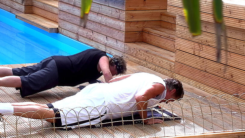 Alle Bilder aus dem Container: Promi-Big-Brother 2013
