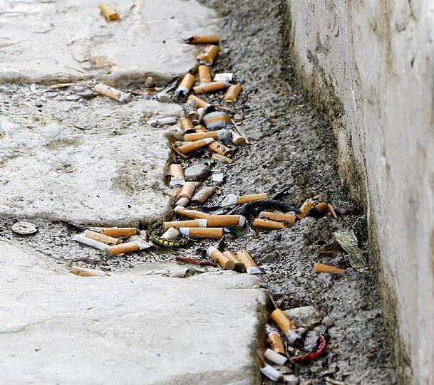 Zigarettenkippen bleiben tagelang liegen. Eine einzige Kippe vergiftet 40 Liter Isarwasser. Viele Fische sterben deswegen.