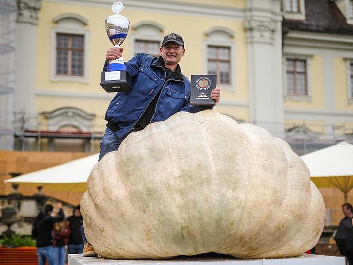 Michael Asam aus Heretshausen präsentiert als Sieger seinen 687,5 Kilogramm schweren Gewinner-Kürbis. Foto: Christoph Schmidt/dpa
