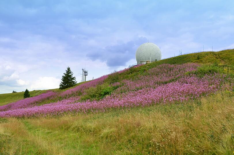 Die 950 Meter hohe Wasserkuppe in Hessen beeindruckt mit einer 360-Grad-Panoramaaussichtsplattform. Bei gutem Wetter liefert der Gipfel eine fantastische Fernsicht über die Mittelgebirgslandschaft der Rhön, des Thüringer Waldes und des Spessarts. Ebenfalls auf der Wasserkuppe: ein Segelflugzentrum mit der ältesten Segelflugschule der Welt. Die 950 Meter hohe Wasserkuppe in Hessen beeindruckt mit einer 360-Grad-Panoramaaussichtsplattform. Bei gutem Wetter liefert der Gipfel eine fantastische Fernsicht über die Mittelgebirgslandschaft der Rhön, des Thüringer Waldes und des Spessarts. Ebenfalls auf der Wasserkuppe: ein Segelflugzentrum mit der ältesten Segelflugschule der Welt.