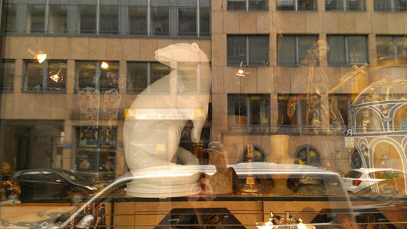 Otter günstig abzugeben. Ein Schaufenster in der Schellingstraße.