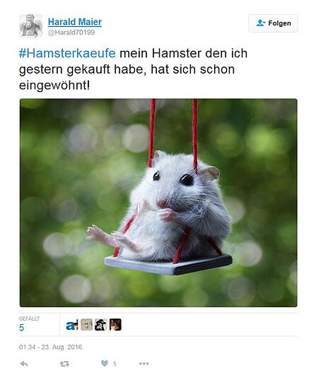 So amüsieren sich Twitter-User über die Hamsterkäufe im Konzept zur Zivilverteidigung.