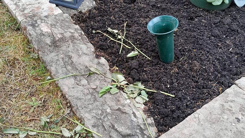 Kahle Stengel von Rosen liegen auf einem Grab am Bergfriedhof.