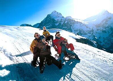Rodelpartie am Faulhorn bei Grindelwald