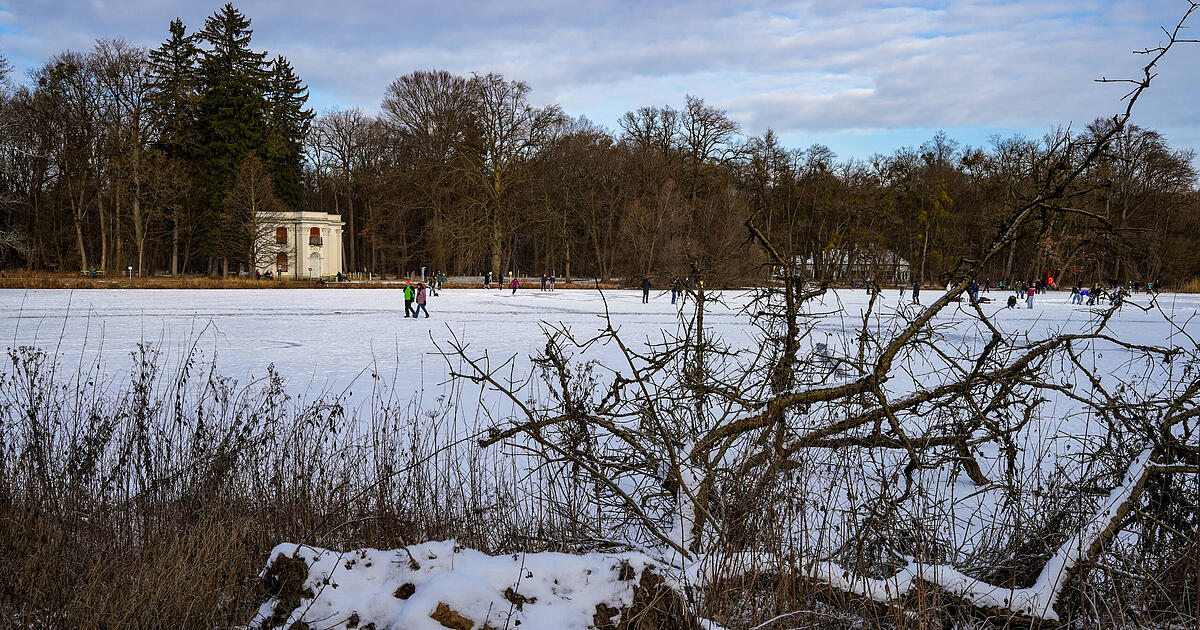 Nymphenburger-Schlosspark-Hier-werden-jetzt-jahrzehntealte-B-ume-gef-llt