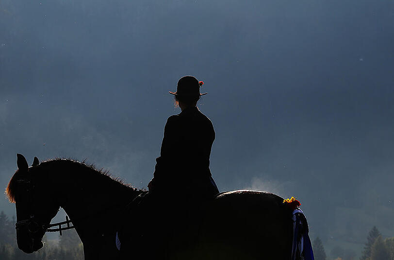 Dramatischer Reitunfall in Ismaning (Symbolbild). Dramatischer Reitunfall in Ismaning (Symbolbild).