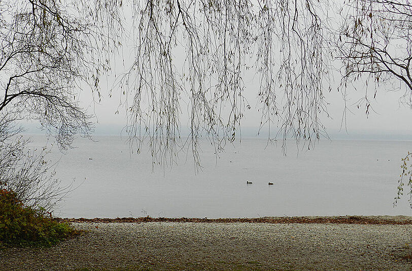 Franz Hammer schoss dieses Foto am Ufer des Ammersees.