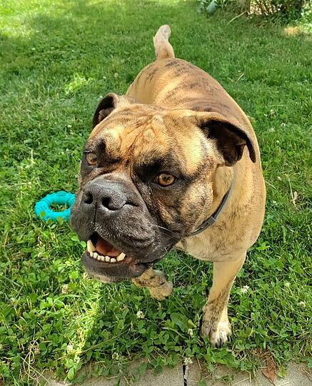 Otis