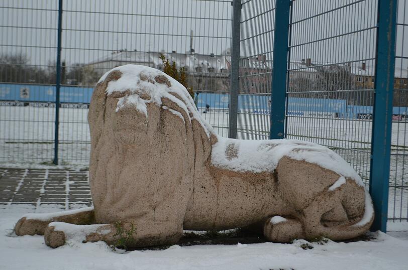Die Löwen im Schnee: Der TSV 1860 musste am Freitag vor Beginn des Trainingslagers auf weißem - und nicht wie gewohnt auf grünem - Untergrund trainieren.