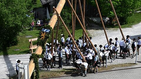 Das Aufstellen des Maibaums nach traditioneller Art fordert Muskelkraft. (Archivbild)