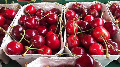Angebaut werden in Deutschland vor allem Süßkirschen. (Archivbild)