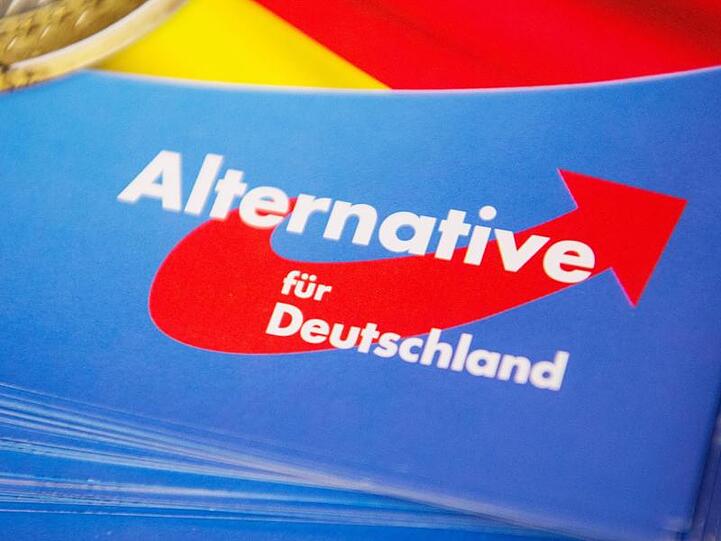 Das Logo der AfD ist auf einem Flyer zu sehen. Foto: Christophe Gateau/Archiv