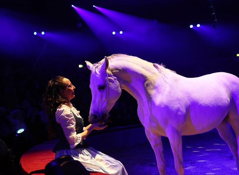 Zirkus-Chefin Jana Mandana Lacey-Krone zeigt nicht nur ihre Reitk&uuml;nste. Sie ist auch eine Pferdefl&uuml;sterin.
