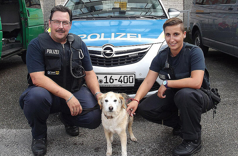 Hund "Willi" mit Beamten der Bundespolizei am Münchner Hauptbahnhof.