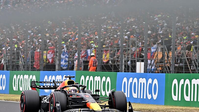 Max Verstappen fuhr in Ungarn von Platz zehn zum Sieg.