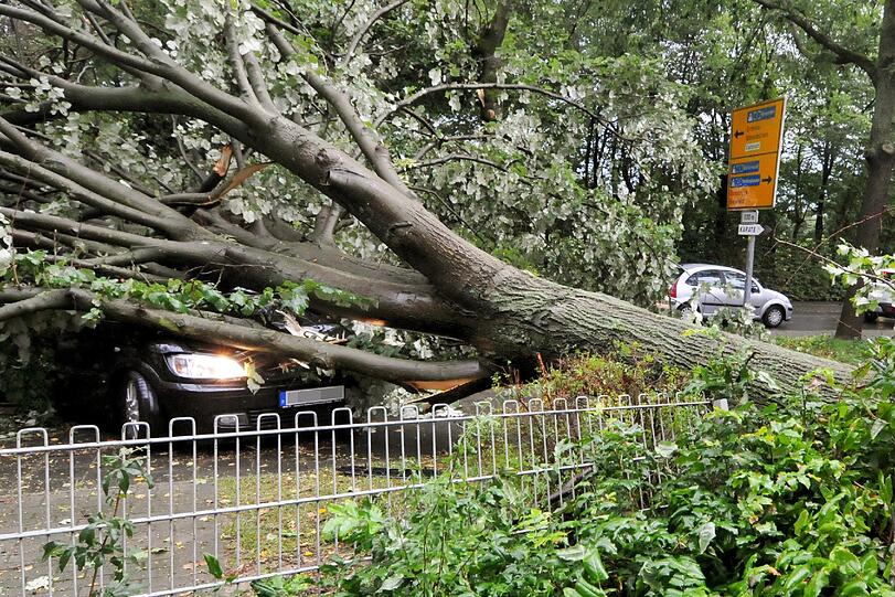 Überflutete Straßen, umgestürzte Bäume: In Münster war's besonders schlimm.