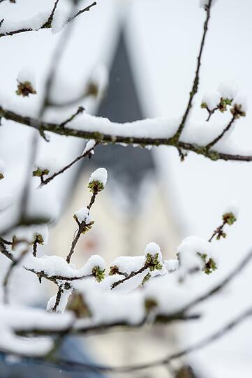 Schnee im Frühling: In Bayern ist der Winter wieder da. Die Bilder...