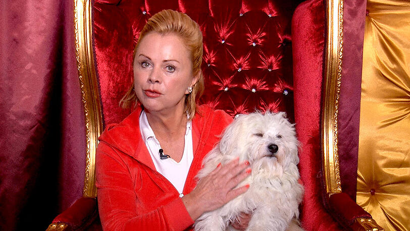 Der putzige Jottem ist zusammen mit Besitzerin Marijke Amado in das "Promi Big Brother"-Haus eingezogen.