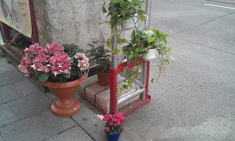 Bunte Blumen auf hässlichem Beton: Die Not hat Besitzer eines Restaurants in der Augustenstraße erfinderisch gemacht.