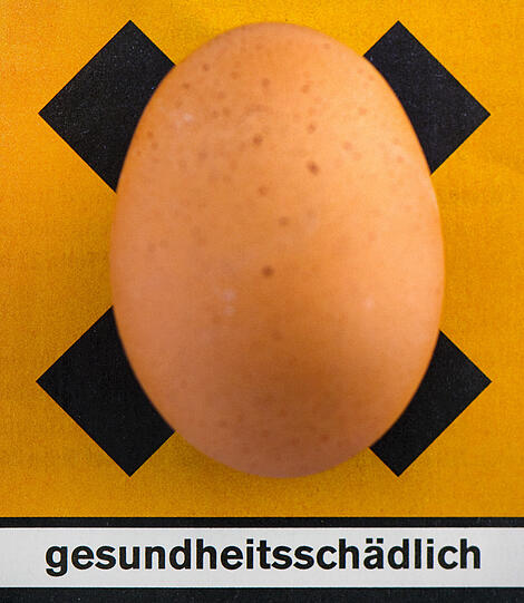 Vor zwei Jahren erschütterte der Dioxin-Skandal die Liebhaber von Rühr-, Spiegel- und Kocheiern.