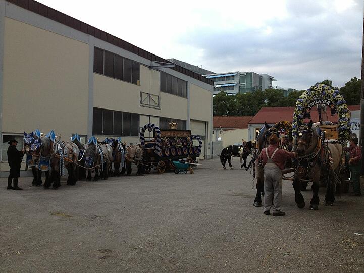 Im Innenhof warten schon die Pferde von Paulaner und Hofbräu, dass es endlich losgeht. Die Pschorr-Pferde kommen als letzte aus dem Stall.
