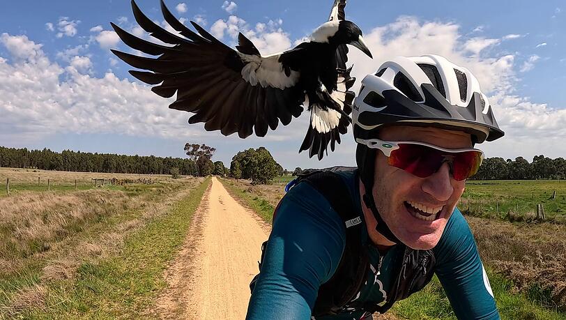 Radfahrer Shane Miller testet einen "PieProof"-Helm gegen Magpie-Angriffe.