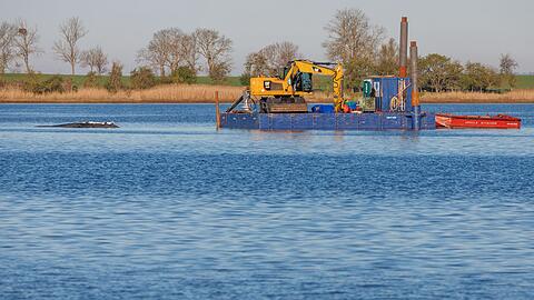 Das Konzept der privaten Initiative zur Rettung des Buckelwals ist wohl &uuml;berholt.