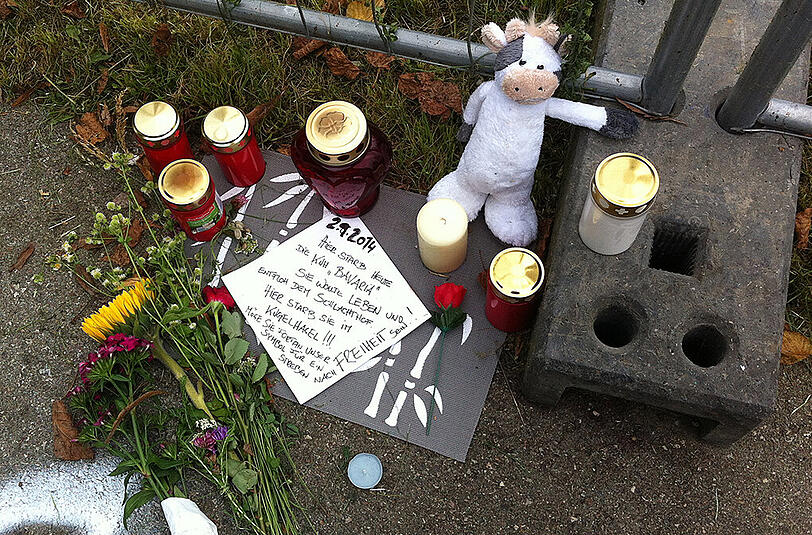 Tierschützer gedachten der erschossenen Kuh damals mit Blumen, Kerzen und einer mahnenden Botschaft.