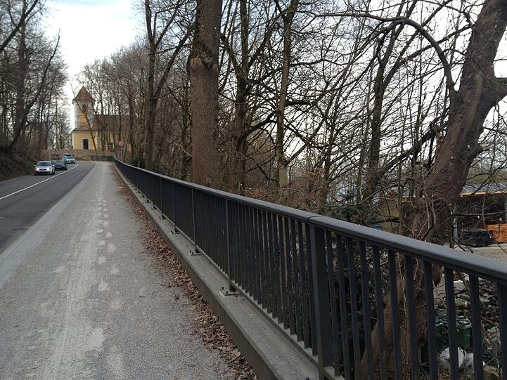 Tierische Begegnung am Morgen: Neugierig beobachten sich Autofahrer und Kamel.