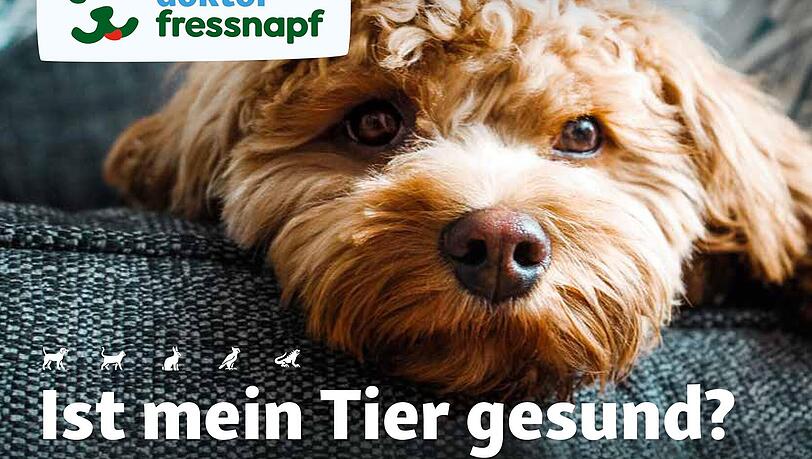 Ist mein Tier gesund? Fragen Sie ganz einfach Dr. Fressnapf! Ist mein Tier gesund? Fragen Sie ganz einfach Dr. Fressnapf!