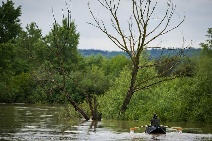 Hier sind nicht nur die Flussauen, ...