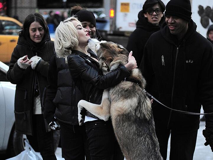 Rita Ora mit einem neuen tierischen Bekannten