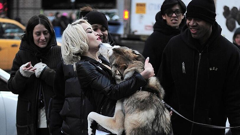 Rita Ora mit einem neuen tierischen Bekannten Rita Ora mit einem neuen tierischen Bekannten