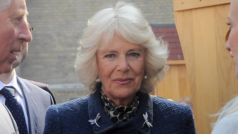Wie wird Königsgemahlin Camilla in den neuen Enthüllungsbüchern dargestellt?