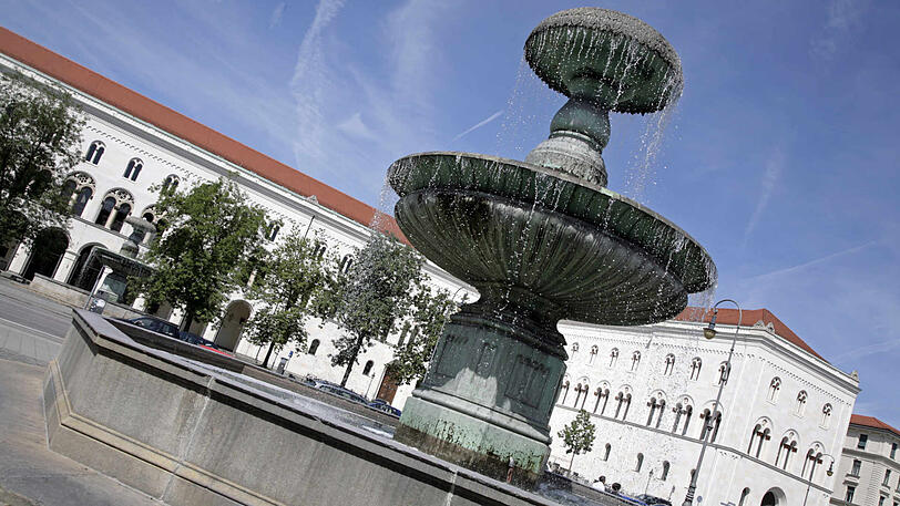 Die Grünen haben in der Maxvorstadt ein hervorragendes Ergebnis eingefahren. (Archivbild)