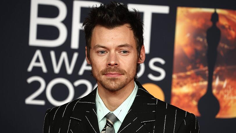 Harry Styles entspannt gerne daheim - in einer Sauna.