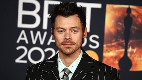 Harry Styles entspannt gerne daheim - in einer Sauna.