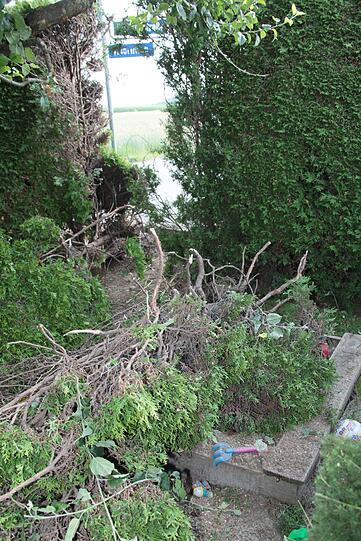 Kawasaiki-Fahrer rauscht durch die Hecke und wird schwer verletzt. Die Bilder.