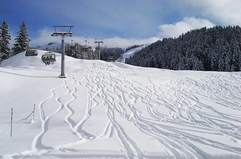 Frischer Powder in Kitzbühel.
