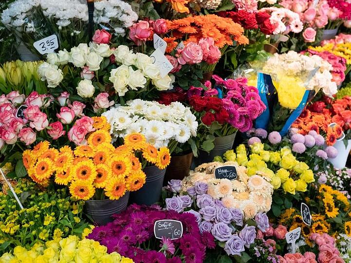 Besonders zufrieden ist der Zentralverband Gartenbau mit dem Absatz von Schnittblumen, der ein gutes Drittel des Gesamtmarktes ausmacht.