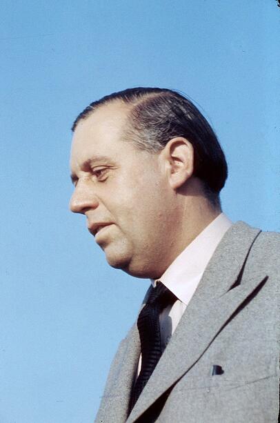 Der Architekt Helmuth Wolff