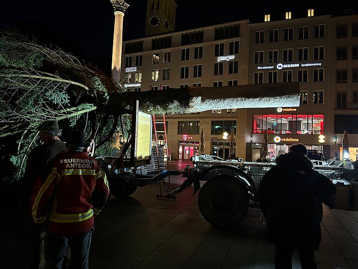 Nach 60 Kilometern Reise kam die Tanne vor dem Neuen Rathaus an.