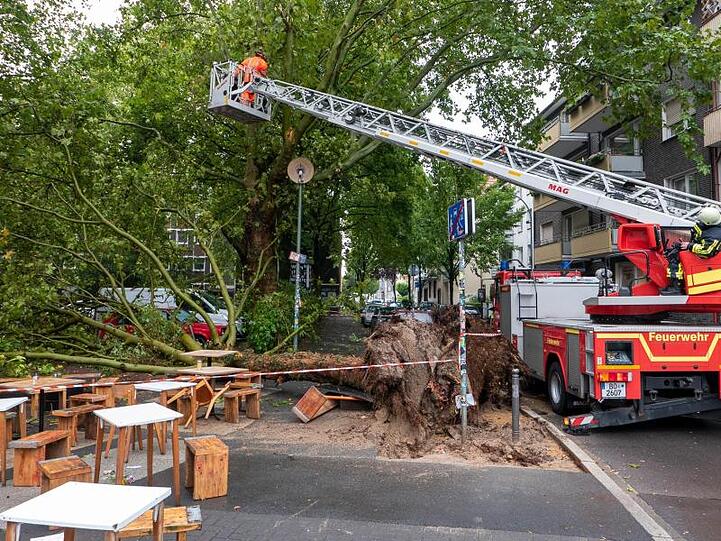 Nach einem kurzen und heftigen Gewitter liegt in Bochum ein umgestürzter Baum neben dem Außenbereich einer Eisdiele.