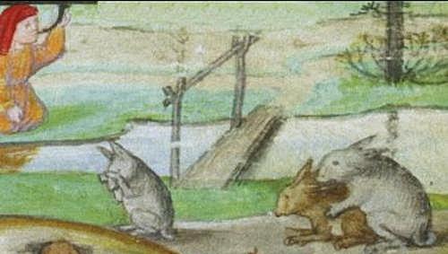 Anzügliches Hasen-Verhalten: Detail aus Imhoffs „Gebetbuch“. Anzügliches Hasen-Verhalten: Detail aus Imhoffs „Gebetbuch“.