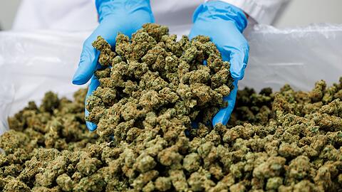 Importe von Medizinal-Cannabis steigen stark. (Archivbild)