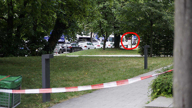 Durch die Bäume kann man die Stelle erkennen, an welcher der Schutzwall errichtet wird.